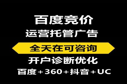 行业领先企业如何运用SEM进行精准营销